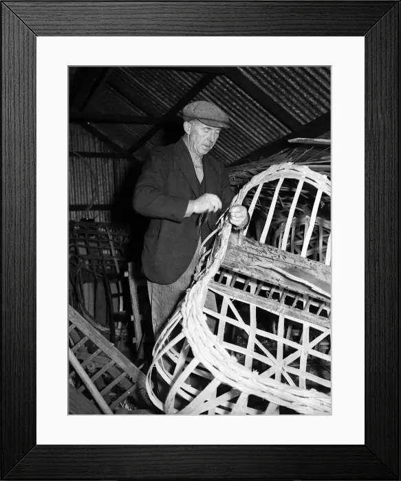 Framed Print : Coracle Fisherman constructing a new boat - 1952 Framed Print : Coracle Fisherman constructing a new boat - 1952