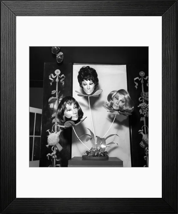 Framed Print : Sixties Fashion Shop Window Maniquin Deborah Jan 1962. A shop dummy made of Framed Print : Sixties Fashion Shop Window Maniquin Deborah Jan 1962. A shop dummy made of