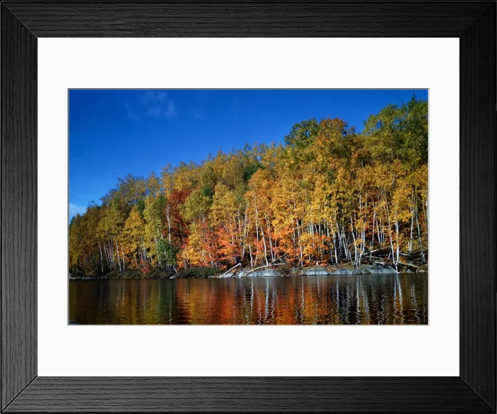 Framed Print : Autumn Scene in Northern Ontario, Canada Framed Print : Autumn Scene in Northern Ontario, Canada