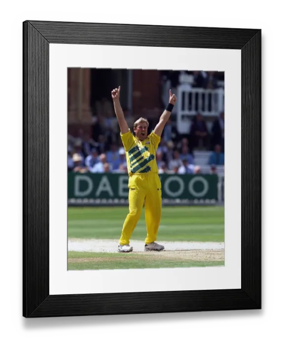 Framed Print : Cricket World Cup Final 1999 Australia v Pakistan June 1999 Shane Warne of Framed Print : Cricket World Cup Final 1999 Australia v Pakistan June 1999 Shane Warne of