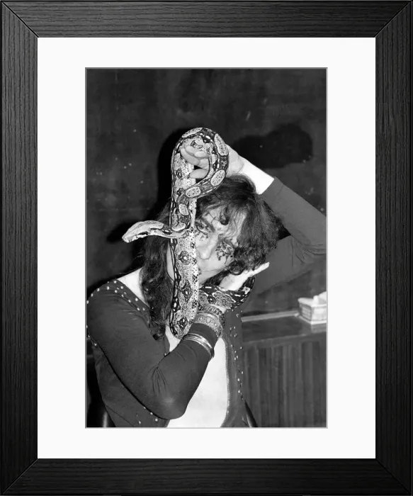 Framed Print : Pop singer Alice Cooper aged 23 flew into Heathrow Airport today with his pet boa