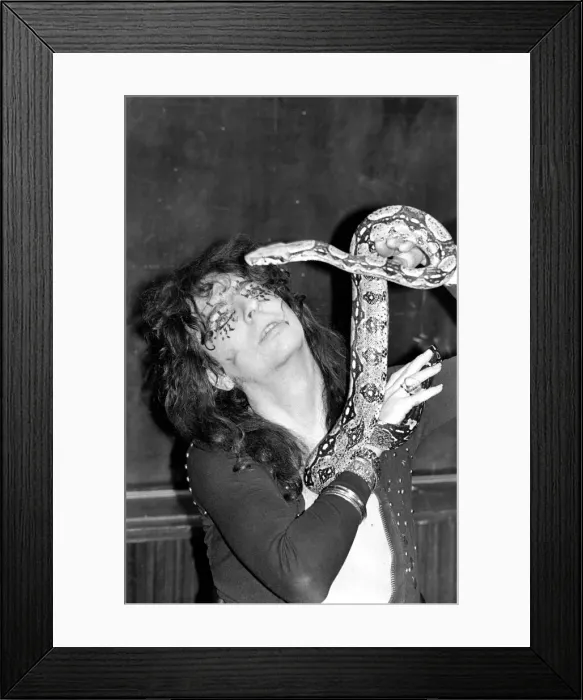 Framed Print : Pop singer Alice Cooper aged 23 flew into Heathrow Airport today with his pet boa