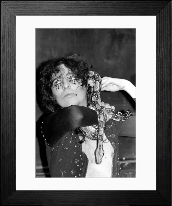 Framed Print : Pop singer Alice Cooper aged 23 flew into Heathrow Airport today with his pet boa Framed Print : Pop singer Alice Cooper aged 23 flew into Heathrow Airport today with his pet boa