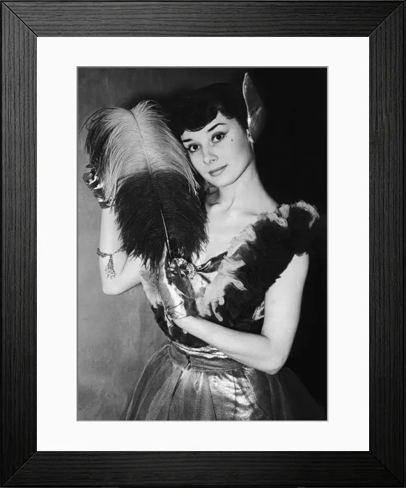 Framed Print : Actress Audrey Hepburn wearing a billowing net dress with ostrich plume during a preview