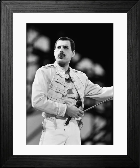 Framed Print : Rock group Queen in concert at Knebworth pop festival. Lead singer Freddie Mercury Framed Print : Rock group Queen in concert at Knebworth pop festival. Lead singer Freddie Mercury