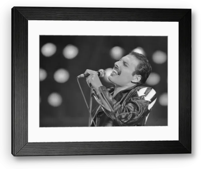 Framed Print : Freddie Mercury, lead singer of rock group Queen, delighted a packed audience Framed Print : Freddie Mercury, lead singer of rock group Queen, delighted a packed audience