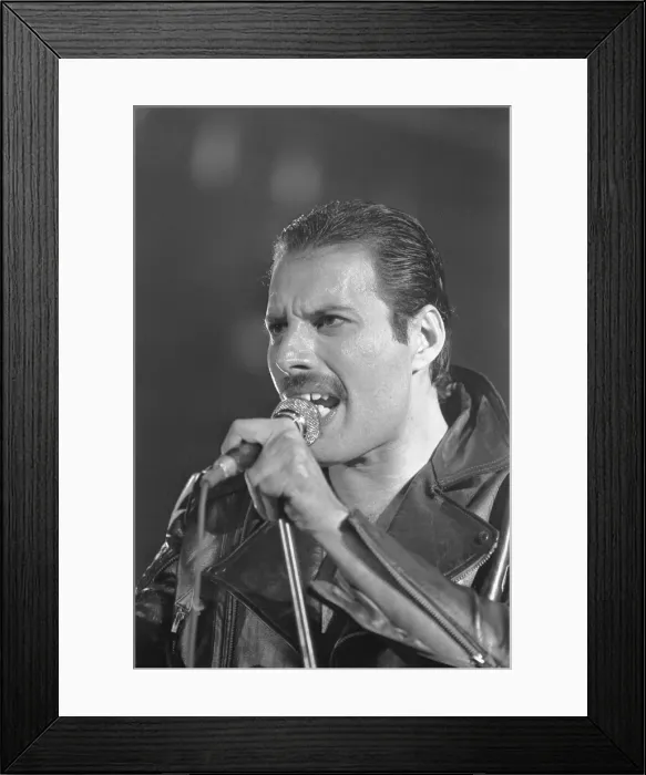 Framed Print : Freddie Mercury, lead singer of rock group Queen, delighted a packed audience Framed Print : Freddie Mercury, lead singer of rock group Queen, delighted a packed audience