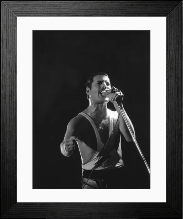Framed Print : Freddie Mercury, lead singer of rock group Queen, delighted a packed audience Framed Print : Freddie Mercury, lead singer of rock group Queen, delighted a packed audience
