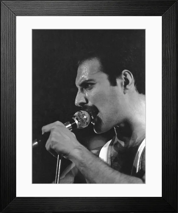 Framed Print : Freddie Mercury, lead singer of rock group Queen, delighted a packed audience Framed Print : Freddie Mercury, lead singer of rock group Queen, delighted a packed audience