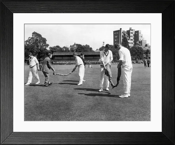 Framed Print : Yorkshire County Cricket players drying out the pitch. 5th August 1966
