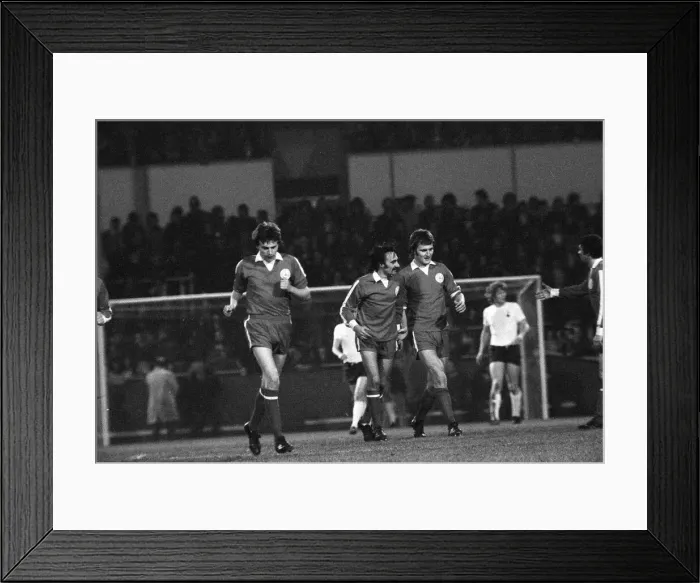Framed Print : Tottenham Hotspur v Doncaster Rovers league cup quarter final match at White Hart Lane