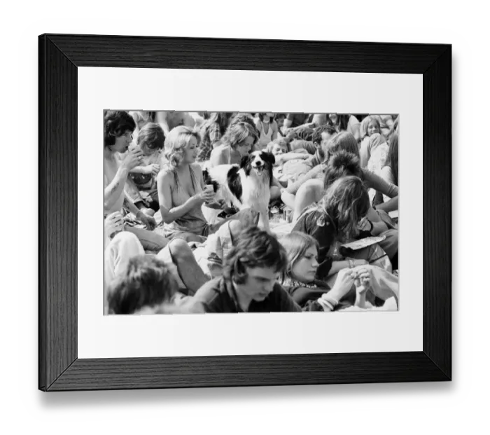 Framed Print : Reading Pop Festival. Festival goers with their pet dog watching the bands Framed Print : Reading Pop Festival. Festival goers with their pet dog watching the bands