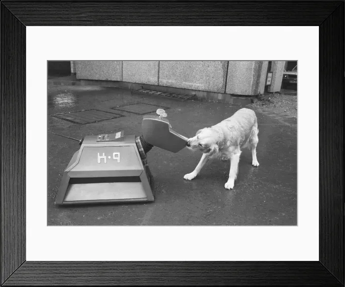 Framed Print : K9, the robot dog in the BBC TV series Dr Who, seen here meeting Robert the Spillers dog