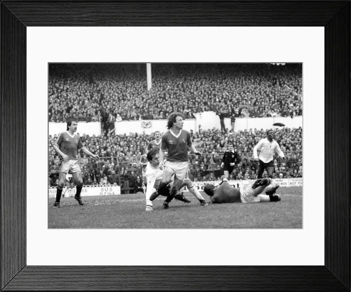 Framed Print : FA Cup 5th Round. Tottenham Hotspur 2 v. Exeter City 0. Action from the game Framed Print : FA Cup 5th Round. Tottenham Hotspur 2 v. Exeter City 0. Action from the game