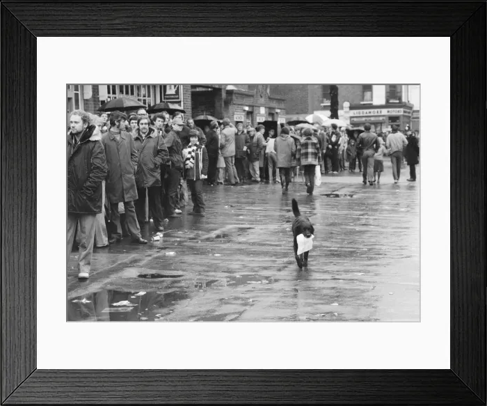 Framed Print : Spurs fans queue for tickets to the Cup Final replay against Manchester City