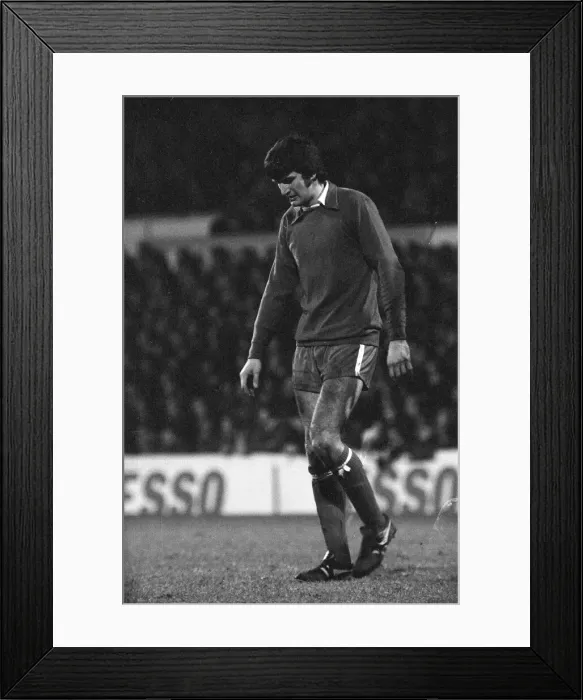 Framed Print : Tottenham Hotspur v Doncaster Rovers league cup quarter final match at White Hart Lane Framed Print : Tottenham Hotspur v Doncaster Rovers league cup quarter final match at White Hart Lane