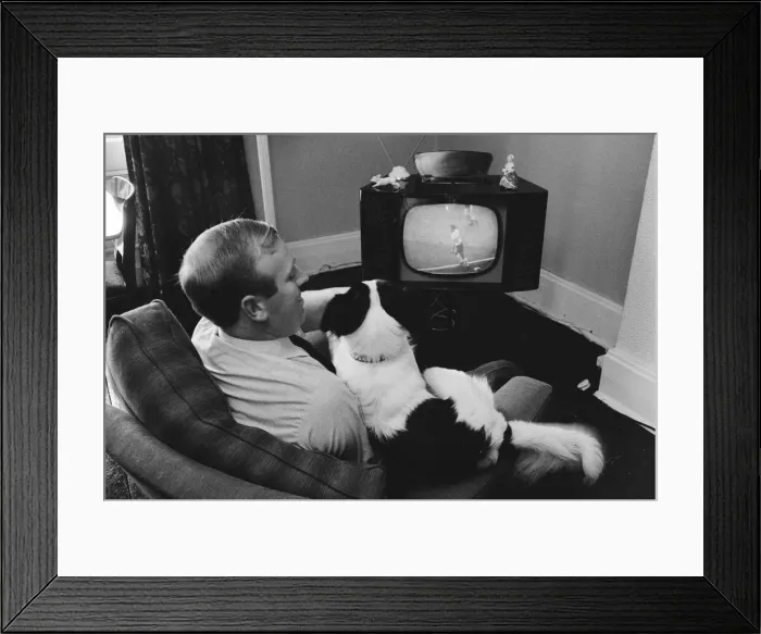 Framed Print : 1966 World Cup Tournament in England. Pickles the hero dog who found the Jules Framed Print : 1966 World Cup Tournament in England. Pickles the hero dog who found the Jules
