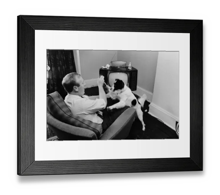 Framed Print : 1966 World Cup Tournament in England. Pickles the hero dog who found the Jules Framed Print : 1966 World Cup Tournament in England. Pickles the hero dog who found the Jules