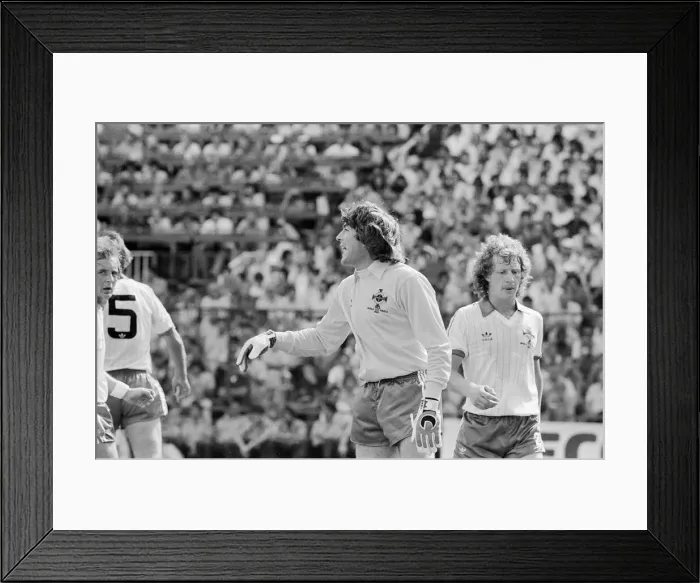 Framed Print : 1982 World Cup Finals Second Round Group D match in Madrid, Spain Framed Print : 1982 World Cup Finals Second Round Group D match in Madrid, Spain