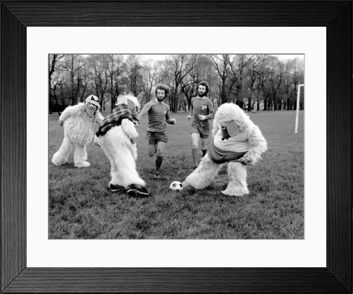 Framed Print : Wimbledon Wombles. January 1975 75-00394-012 Framed Print : Wimbledon Wombles. January 1975 75-00394-012