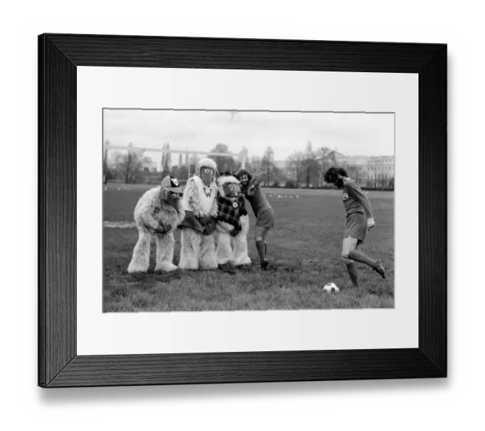 Framed Print : Wimbledon Wombles. January 1975 75-00394-002 Framed Print : Wimbledon Wombles. January 1975 75-00394-002