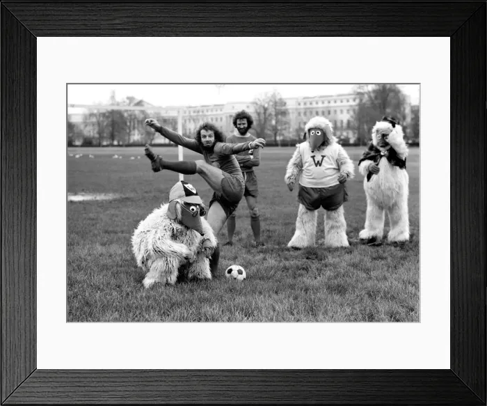 Framed Print : Wimbledon Wombles. January 1975 75-00394-007 Framed Print : Wimbledon Wombles. January 1975 75-00394-007