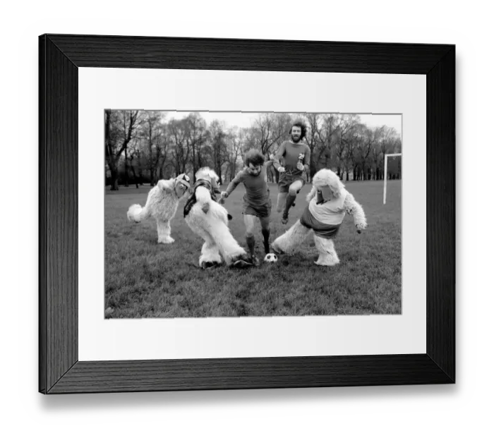 Framed Print : Wimbledon Wombles. January 1975 75-00394-008 Framed Print : Wimbledon Wombles. January 1975 75-00394-008