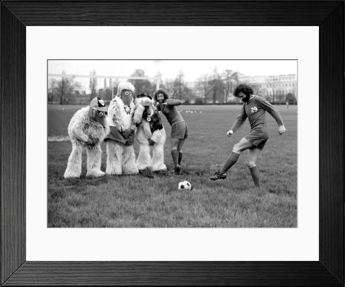 Framed Print : Wimbledon Wombles. January 1975 75-00394-005 Framed Print : Wimbledon Wombles. January 1975 75-00394-005