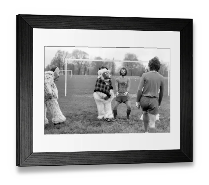 Framed Print : Wimbledon Wombles. January 1975 75-00394-001 Framed Print : Wimbledon Wombles. January 1975 75-00394-001