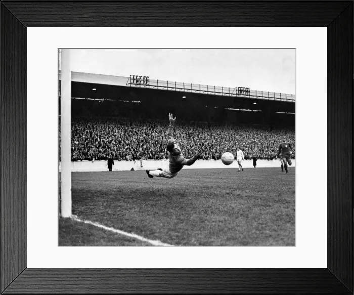 Framed Print : Leeds United v. Leicester City: Leicester keeper, Gordon Banks Framed Print : Leeds United v. Leicester City: Leicester keeper, Gordon Banks
