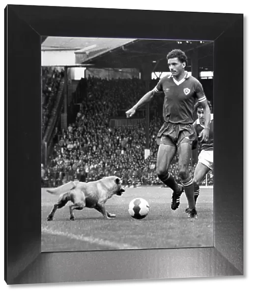 Football unusual: Leicesters Larry May duals for the ball with a dog that strayed