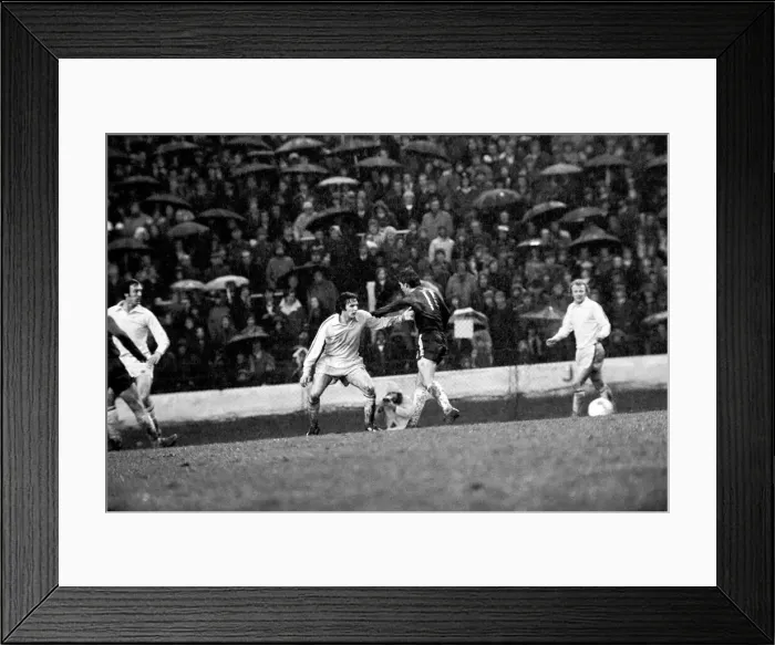 Framed Print : Football: Chelsea F. C. vs. Leeds United F. C. Scenes during the match