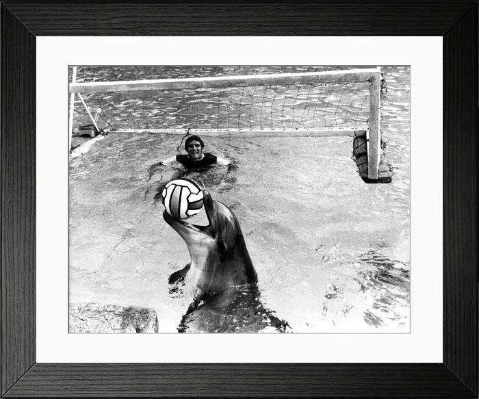Framed Print : The Football Season is with us once again when this Saturday Framed Print : The Football Season is with us once again when this Saturday