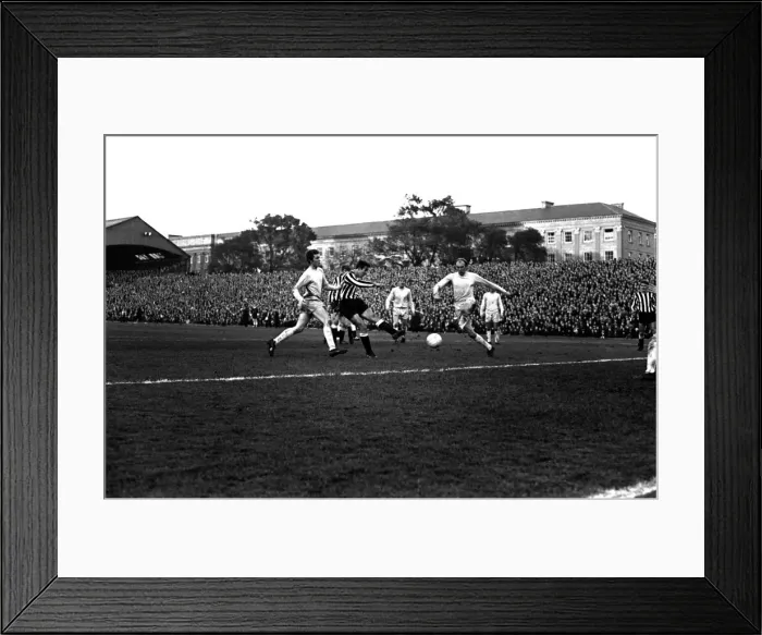 Framed Print : English League Division One match Newcastle United 3 v Sunderland 0