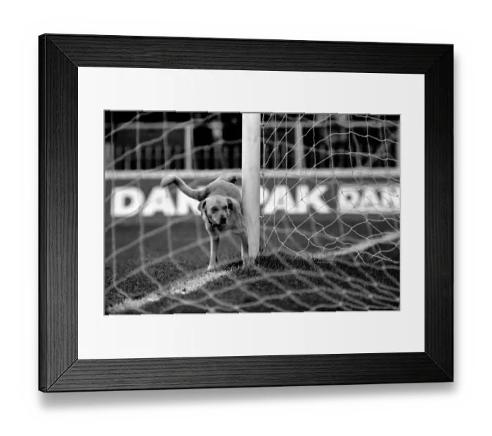 Framed Print : English League Division One match at Maine Road Manchester City 1 v Brighton Framed Print : English League Division One match at Maine Road Manchester City 1 v Brighton