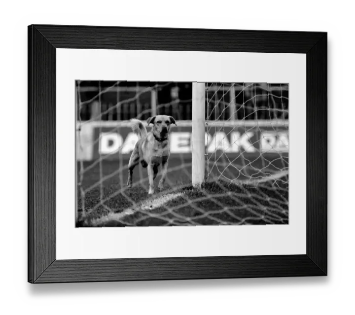 Framed Print : English League Division One match at Maine Road Manchester City 1 v Brighton Framed Print : English League Division One match at Maine Road Manchester City 1 v Brighton