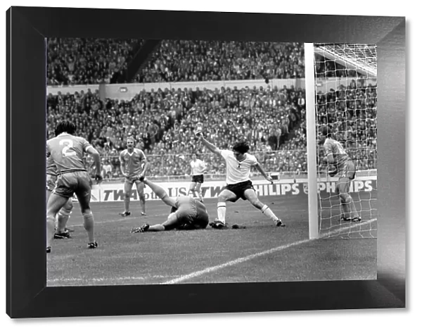 F. A. Cup Final Wembley. May 1981 LF06-38-047