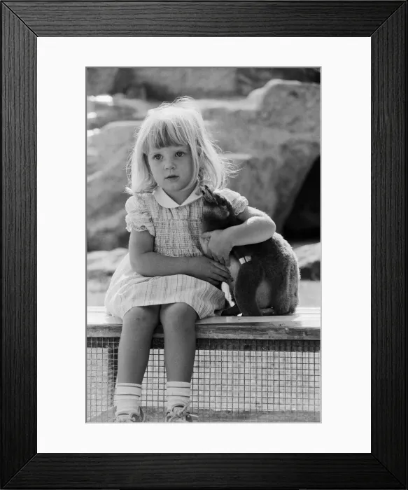 Framed Print : Young Kirsten Ogilvie with a baby penguin at the Cotswold WildLife Park in Oxfordshire Framed Print : Young Kirsten Ogilvie with a baby penguin at the Cotswold WildLife Park in Oxfordshire