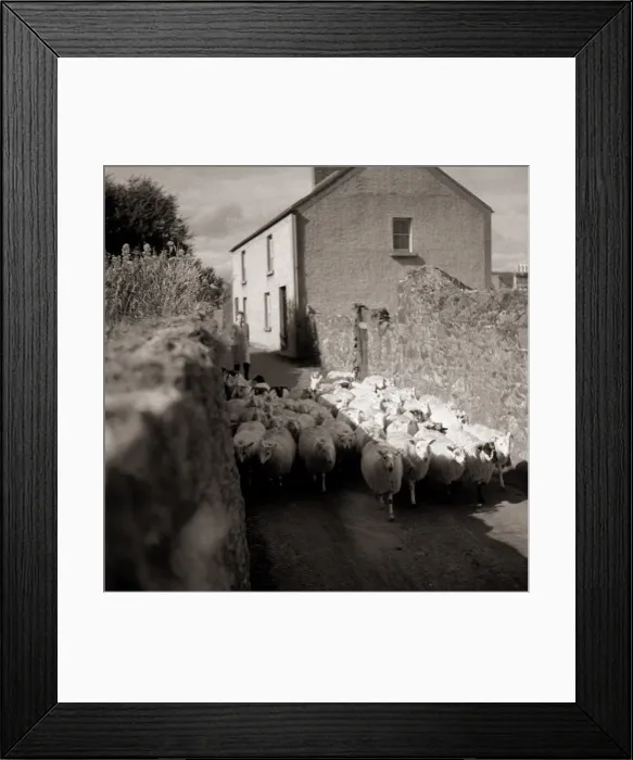 Framed Print : Here are scenes from a typical frontier villiages near the compact little town of Framed Print : Here are scenes from a typical frontier villiages near the compact little town of