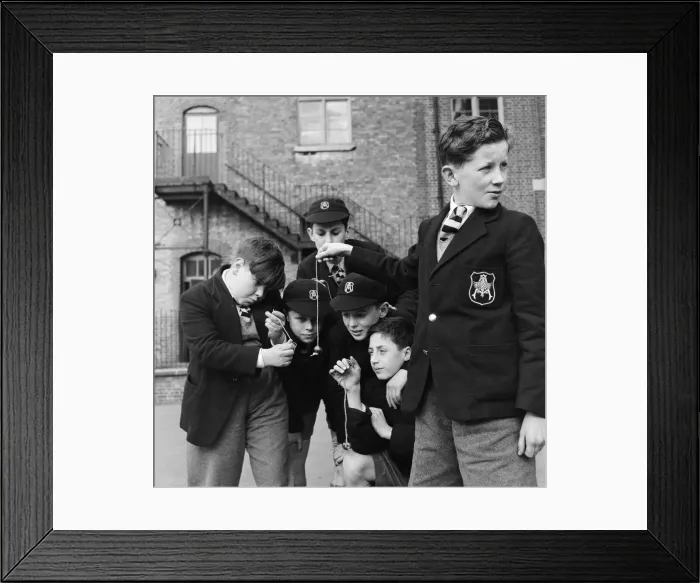 Framed Print : A group of friends taking part in a game of conkers at their school. September 1950 Framed Print : A group of friends taking part in a game of conkers at their school. September 1950