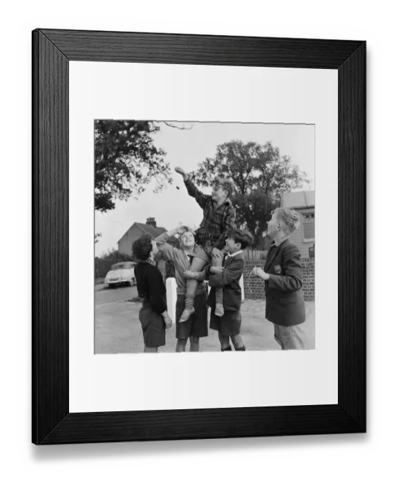 Framed Print : A group of friends taking part in a game of conkers outside their house