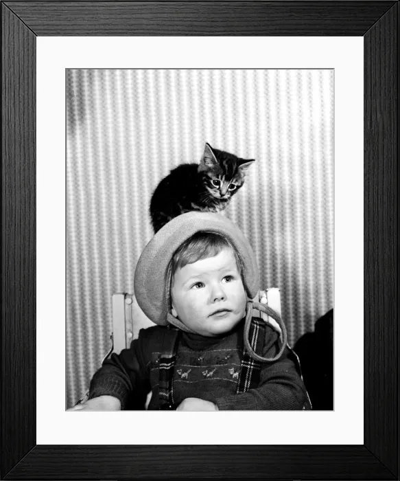 Framed Print : Baby boy with a kitten on his head. 10th December 1958