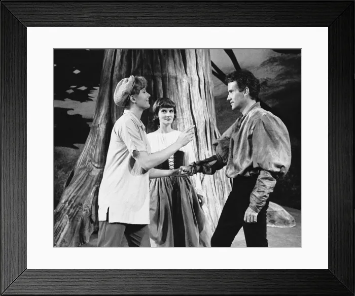Framed Print : A scene from the RSC production of As You Like It'Left to Right