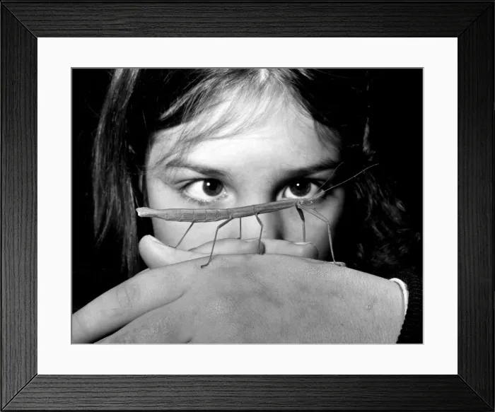 Framed Print : Eight year old Claire Barton of Tankerton, Kent with her pet stick insect Twiggy