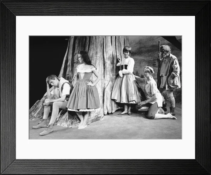 Framed Print : A scene from the RSC production of As You Like It. Left to right Peter McEmery as Framed Print : A scene from the RSC production of As You Like It. Left to right Peter McEmery as
