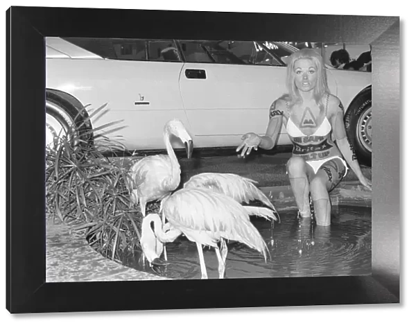 Model from the British Road Safety campaign poses in a bikini with flamingoes at the 1971