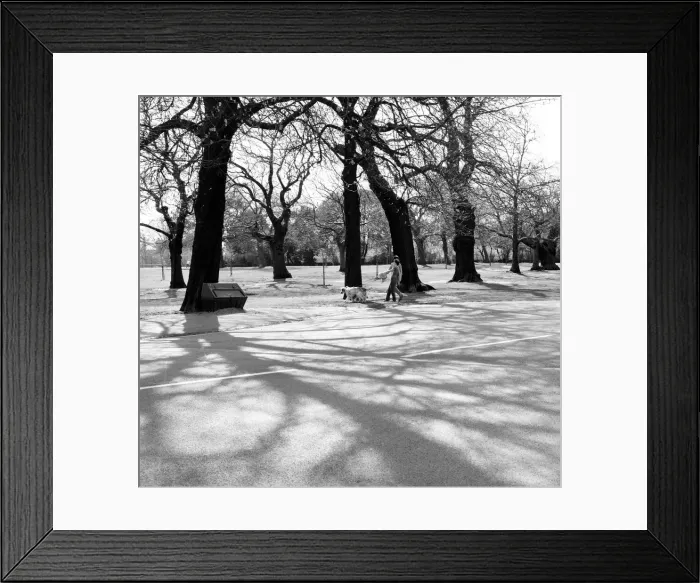 Framed Print : Views of Greenwich Park. 28th March 1981 Framed Print : Views of Greenwich Park. 28th March 1981