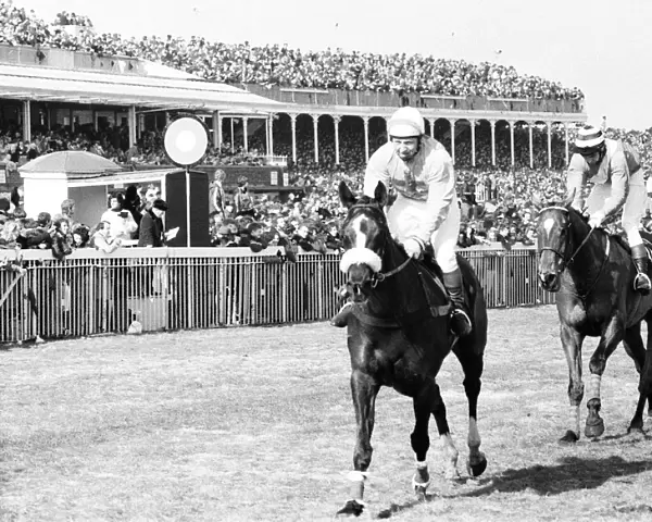 The Grand National 1979. Rubstic and Maurice Barnes win the National