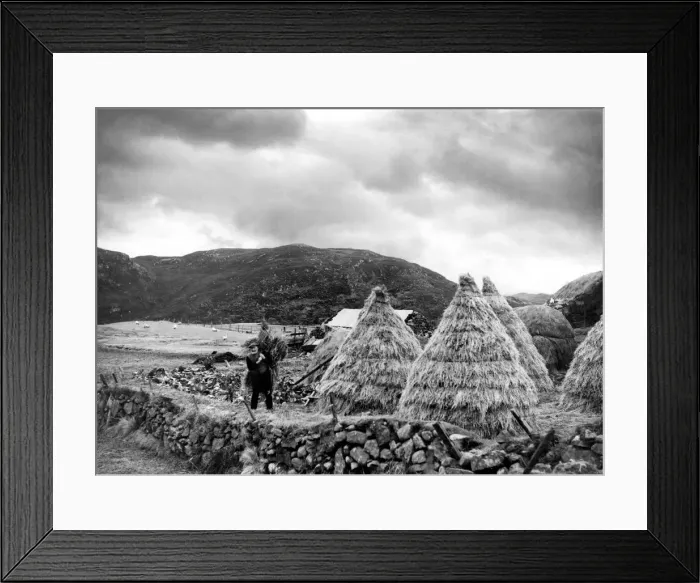 Framed Print : A hardy crofter at work near Stornaway on the island of Lewis in the Outer Hebrides Framed Print : A hardy crofter at work near Stornaway on the island of Lewis in the Outer Hebrides