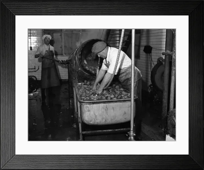 Framed Print : Carrot Powder making at Bristol. Circa 1930 Framed Print : Carrot Powder making at Bristol. Circa 1930